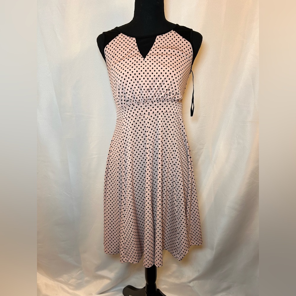 Enfocus Studio Women’s Fit and Flare Polka Dot Dress Size 6